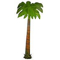 Zoom : Rigid Palm