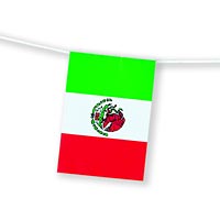 Zoom : Mexico plastic bunting